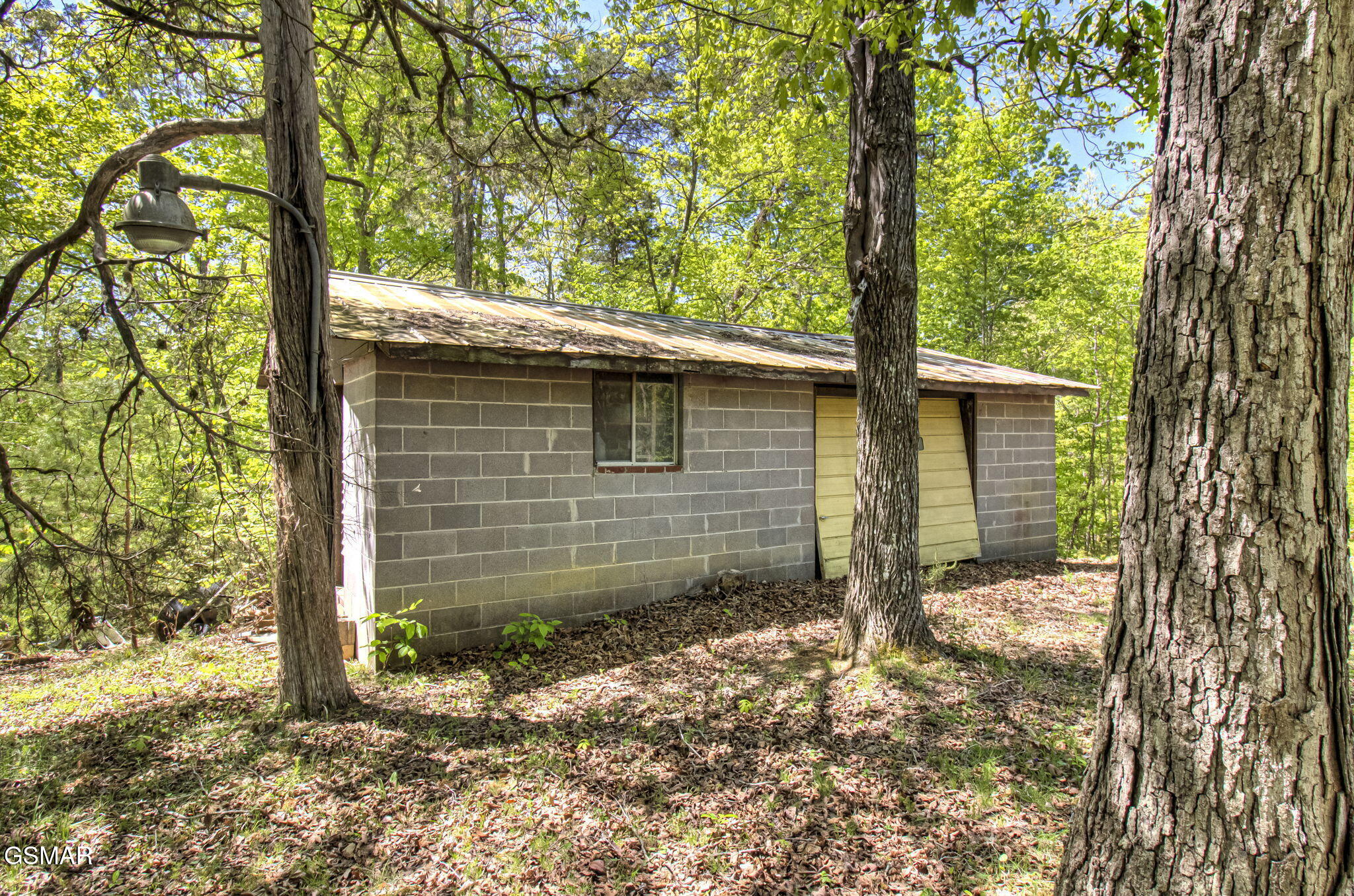1909 Cheyene Trail Dandridge TN 37725