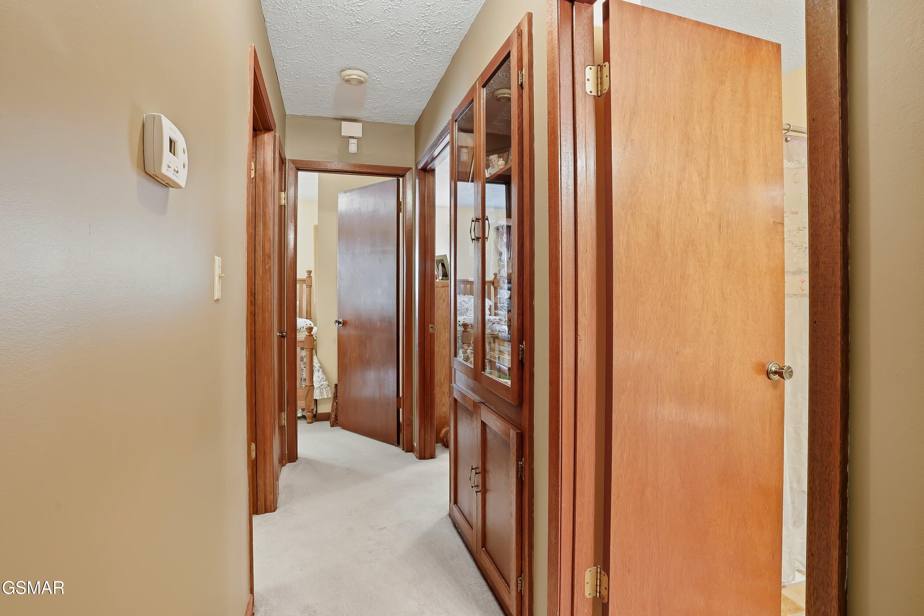 3919 Doan Drive Kodak TN 37764