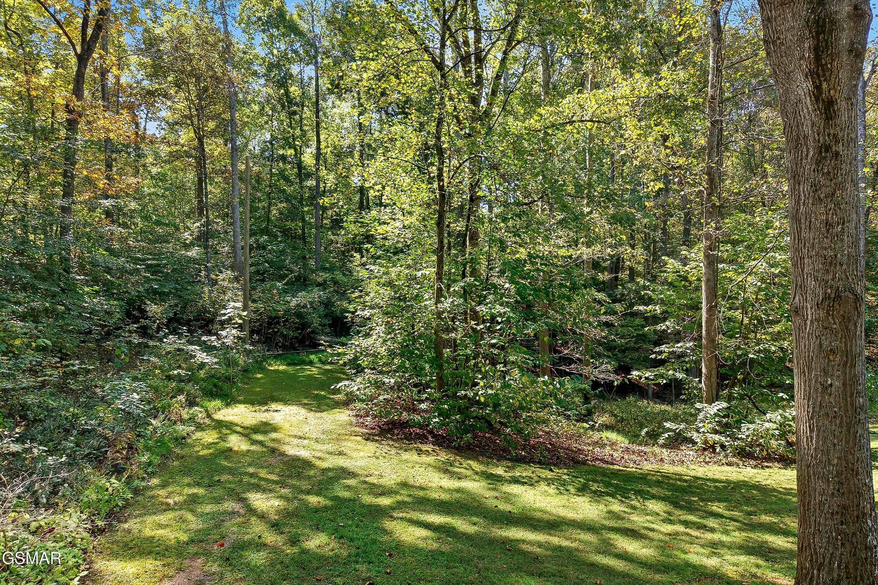 3919 Doan Drive Kodak TN 37764