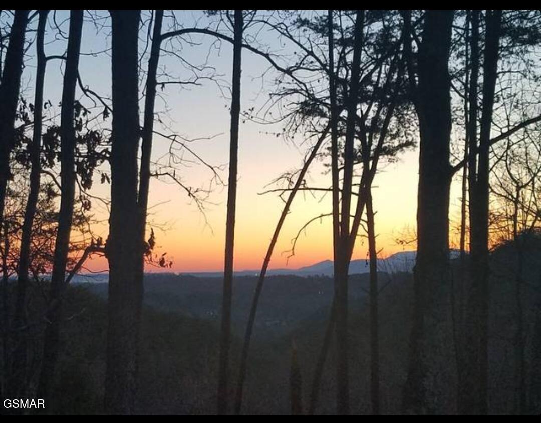 1654 S Mountain View Road Sevierville TN 37876