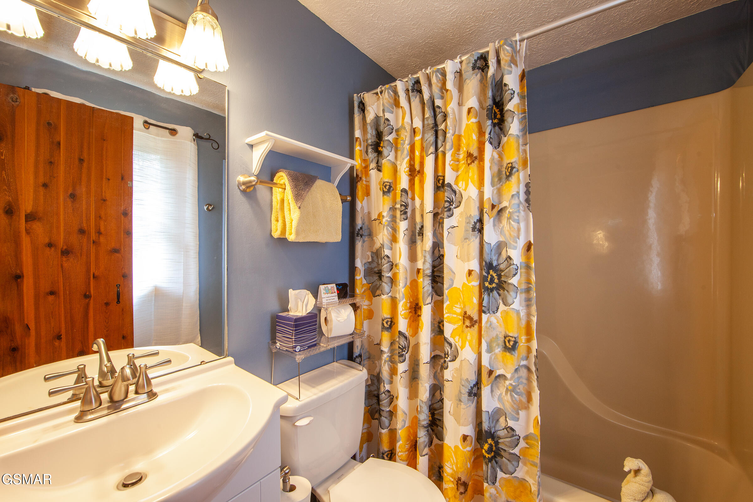 1654 S Mountain View Road Sevierville TN 37876