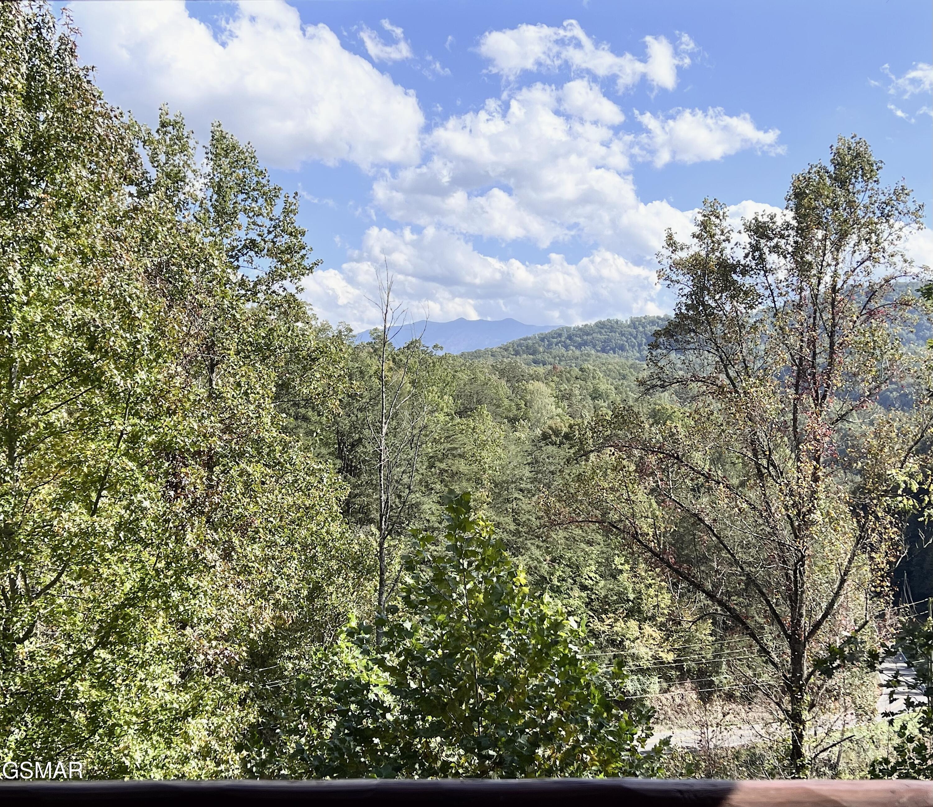 4319 Forest Ridge Way Pigeon Forge TN 37863