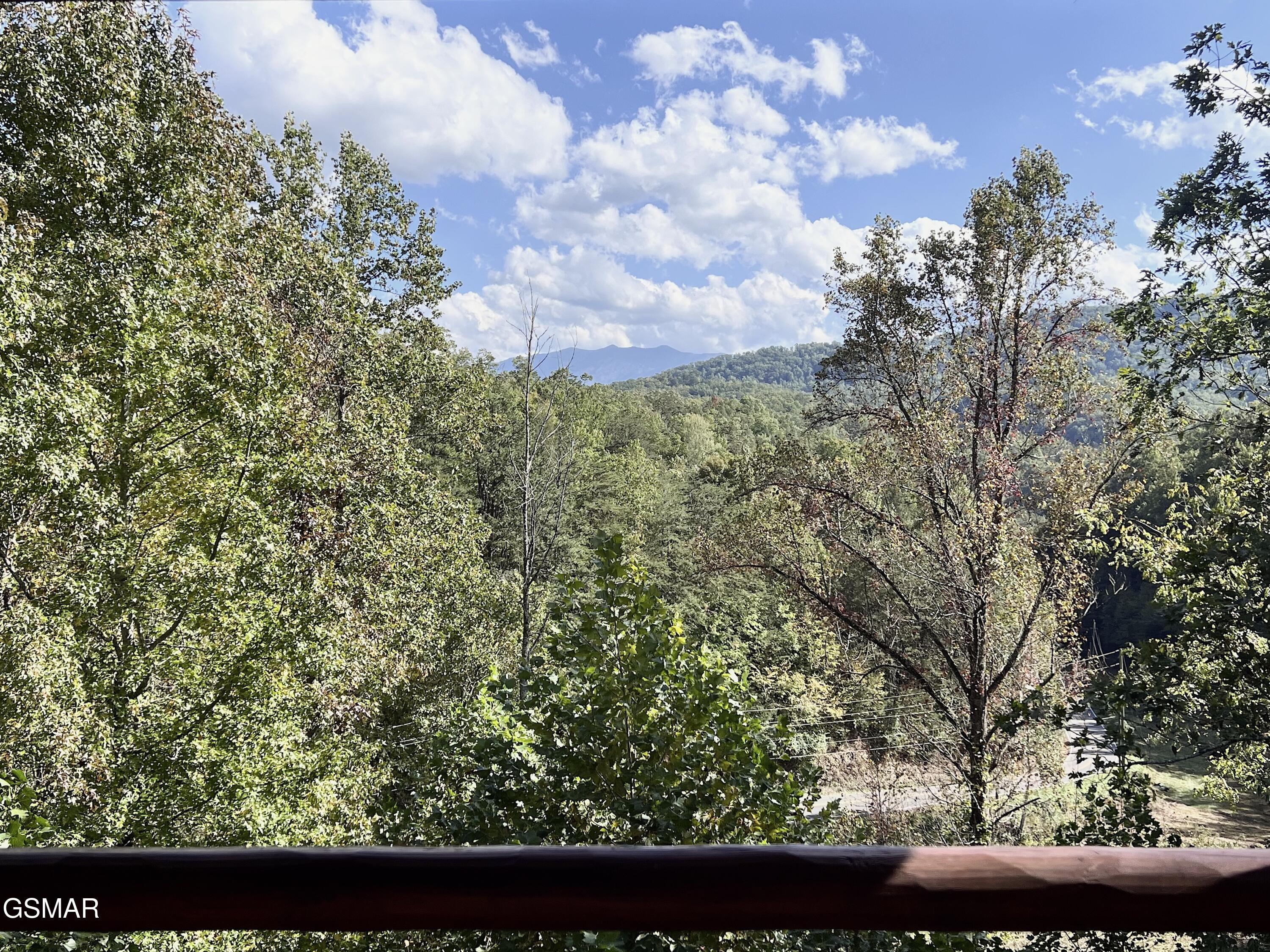 4319 Forest Ridge Way Pigeon Forge TN 37863