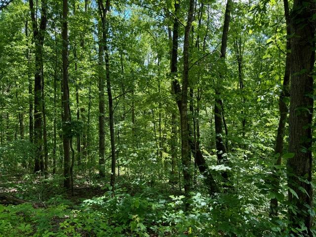 2205 Meredith Way Sevierville TN 37876