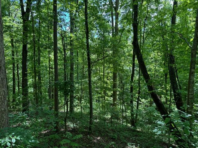 2205 Meredith Way Sevierville TN 37876