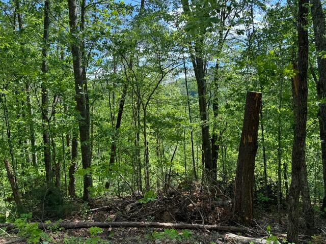 2205 Meredith Way Sevierville TN 37876