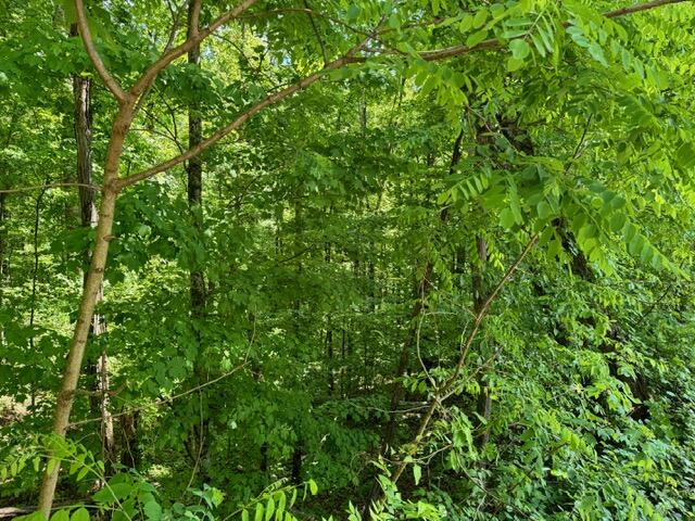 2205 Meredith Way Sevierville TN 37876