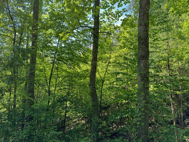 2205 Meredith Way Sevierville TN 37876