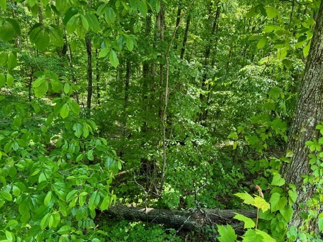 2205 Meredith Way Sevierville TN 37876