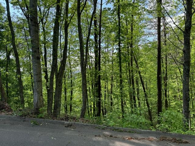 2205 Meredith Way Sevierville TN 37876