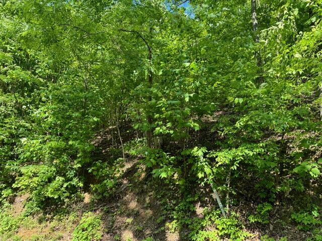 2205 Meredith Way Sevierville TN 37876