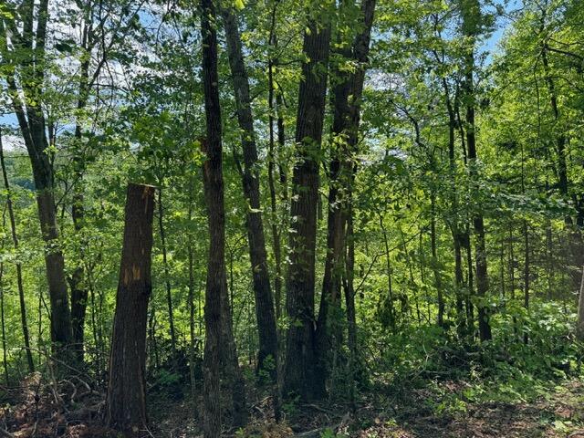 2205 Meredith Way Sevierville TN 37876