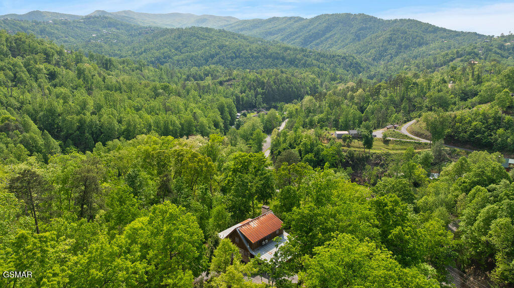 302 Beech Branch Road Gatlinburg TN 37738