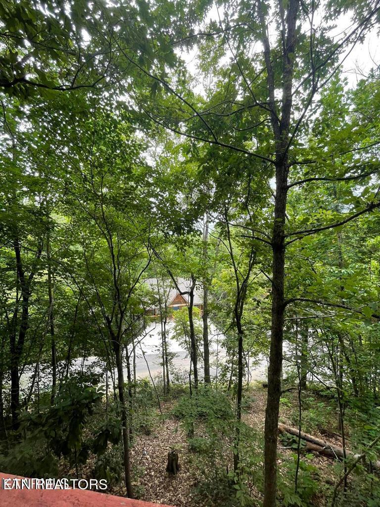 3507 Brook Stone Way Pigeon Forge TN 37863