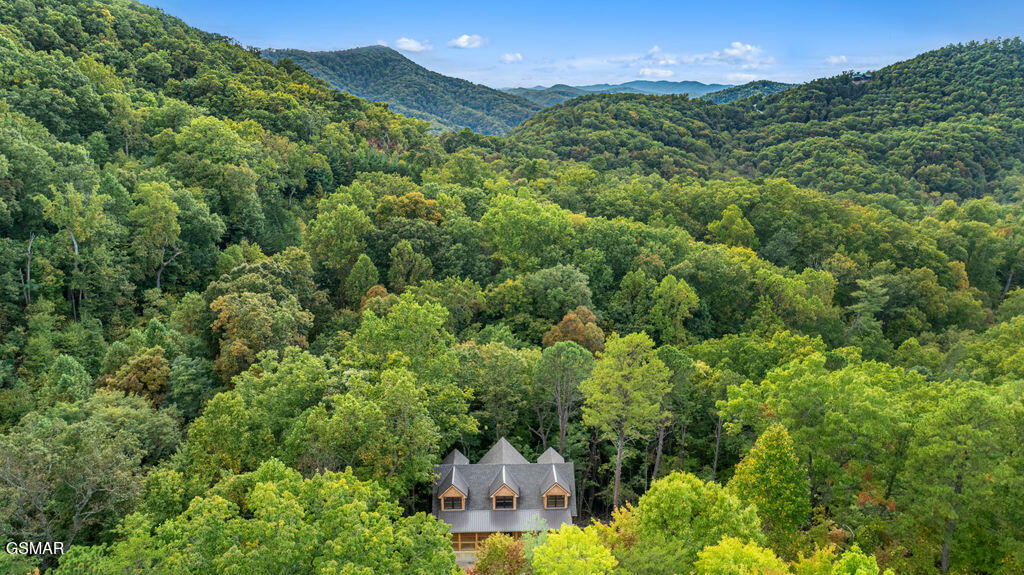 4406 Long Rifle Road Sevierville TN 37862