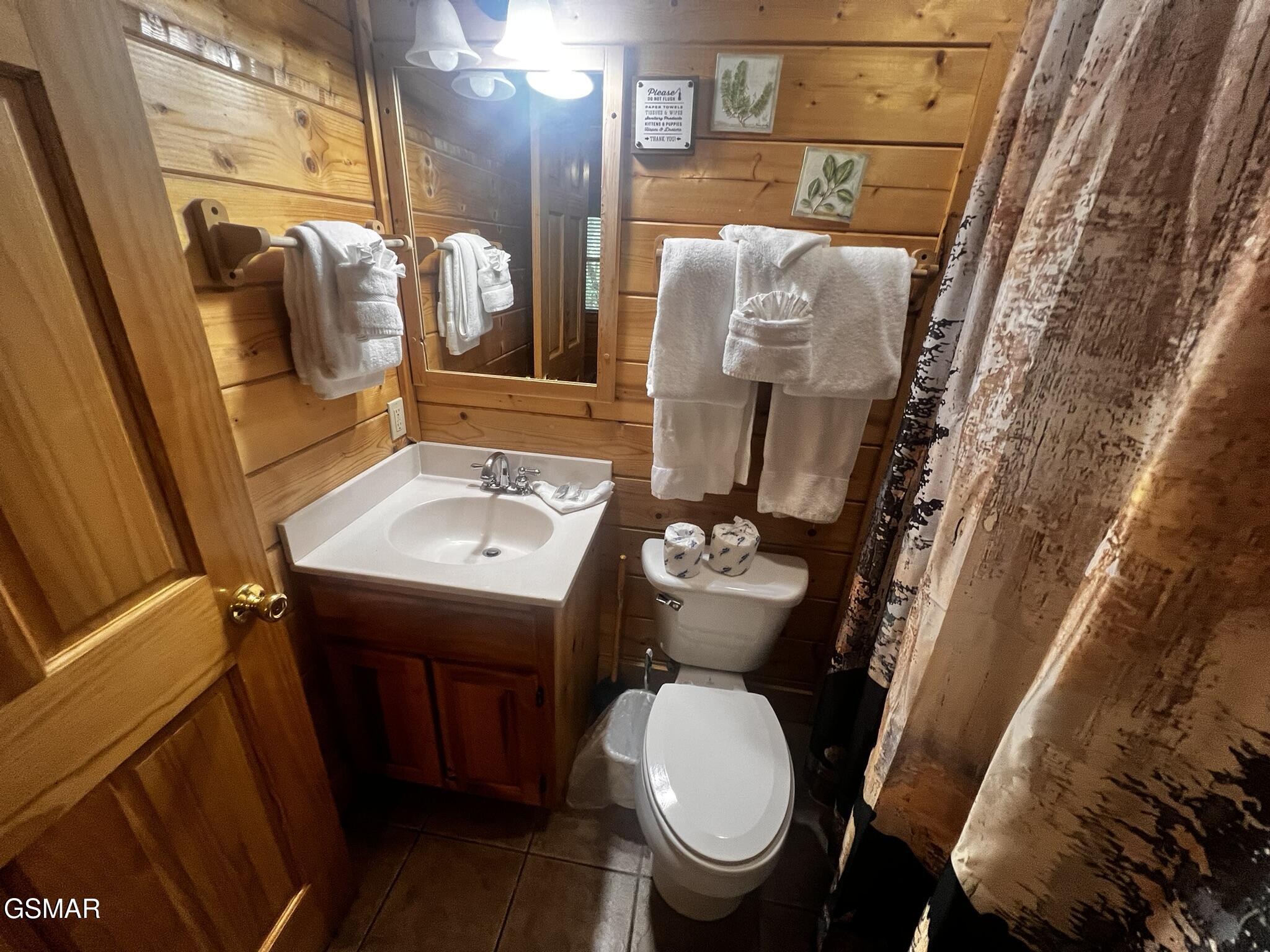 3216 White Falcon Way Pigeon Forge TN 37863