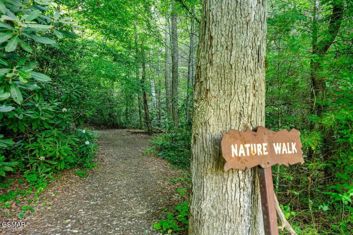 2839 Cedar Falls Way Sevierville TN 37862