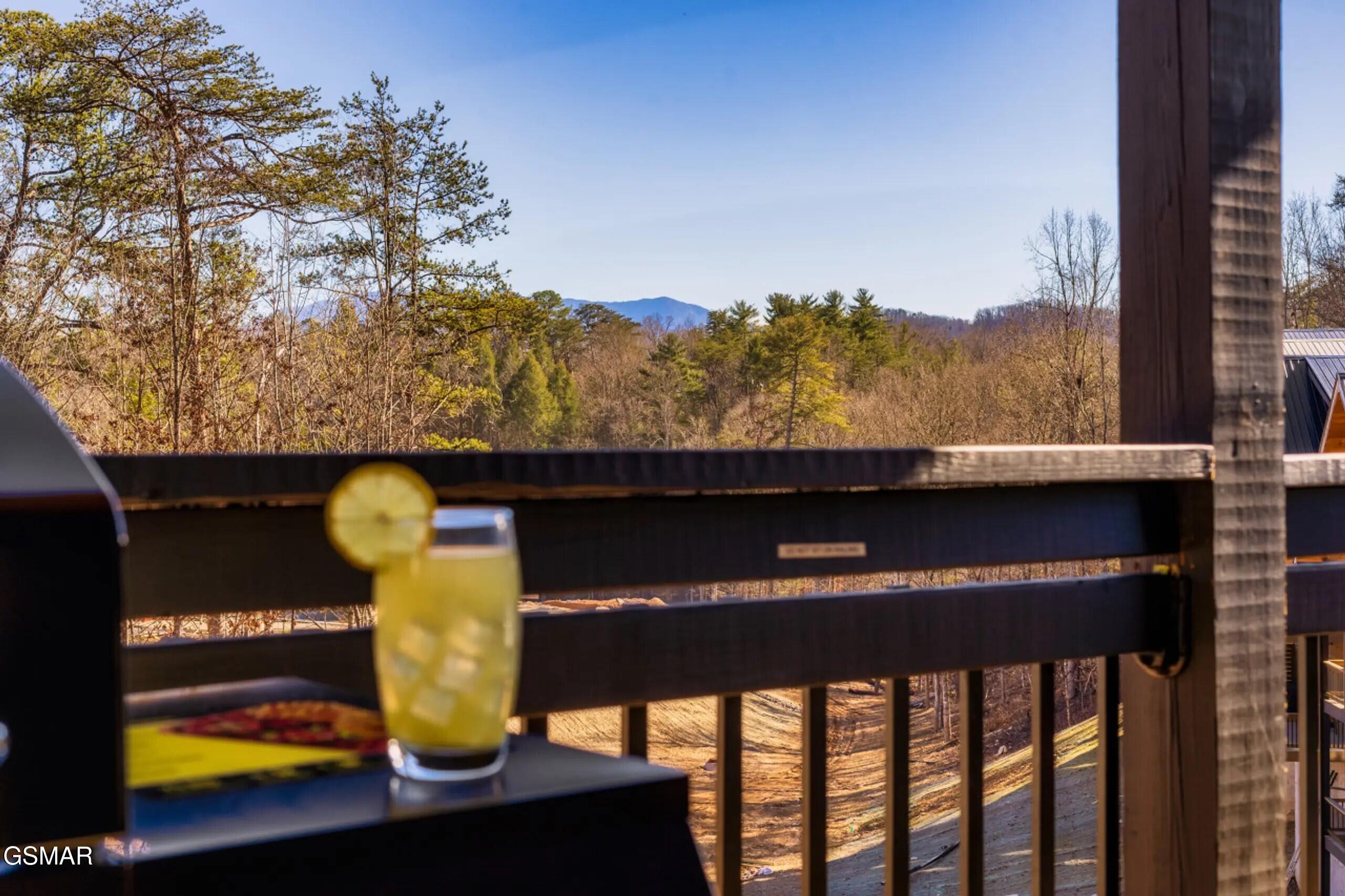 2852 Sequoia Road Pigeon Forge TN 37863