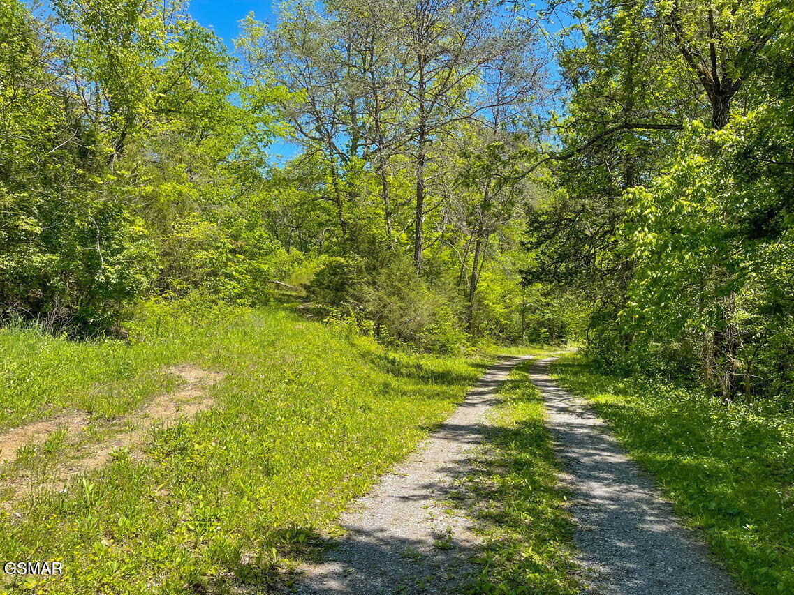 2234 Green Acres Circle Sevierville TN 37862