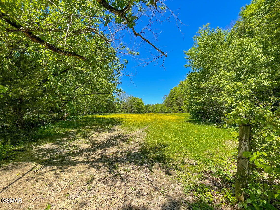 2234 Green Acres Circle Sevierville TN 37862