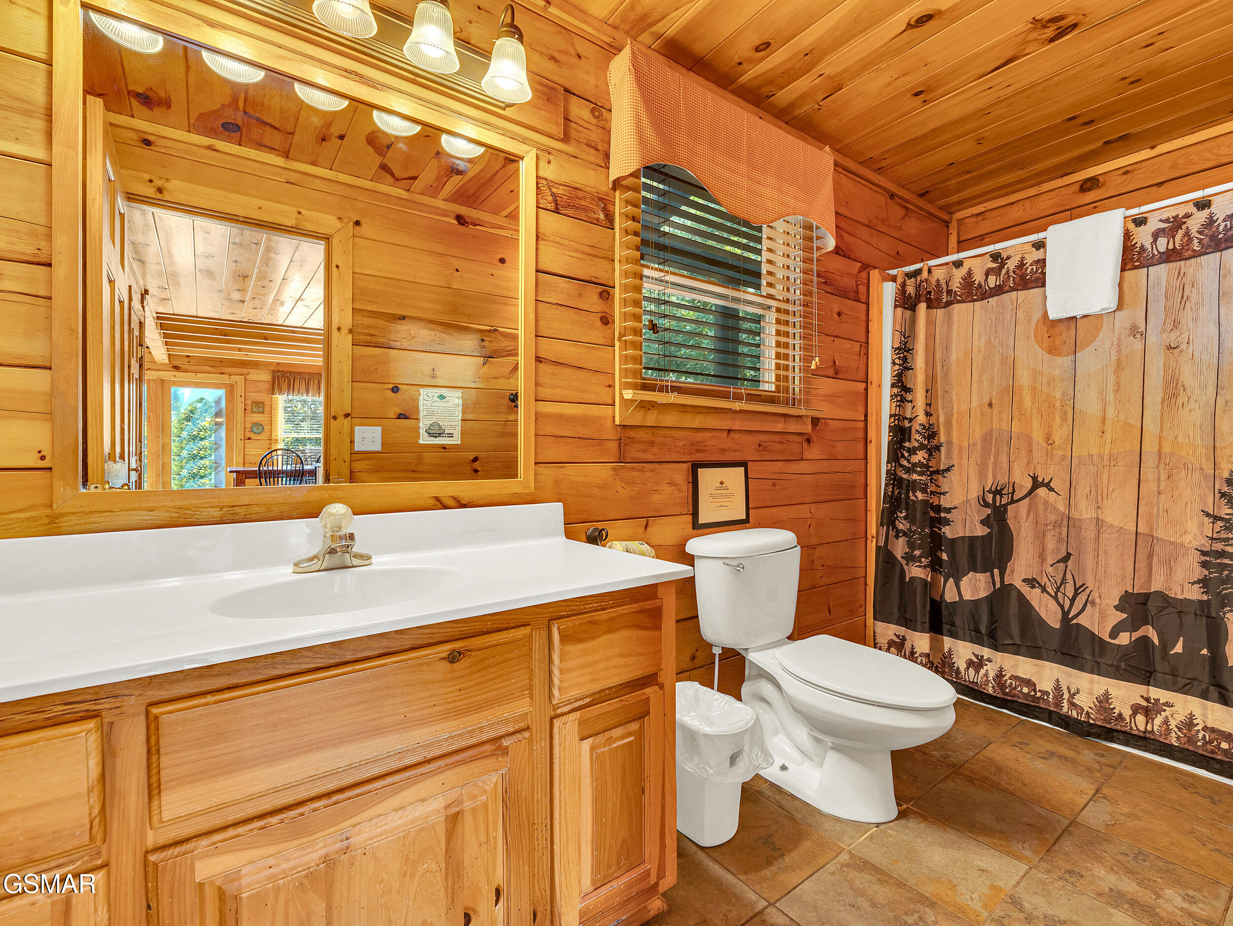 4445 Forest Vista Way Pigeon Forge TN 37863