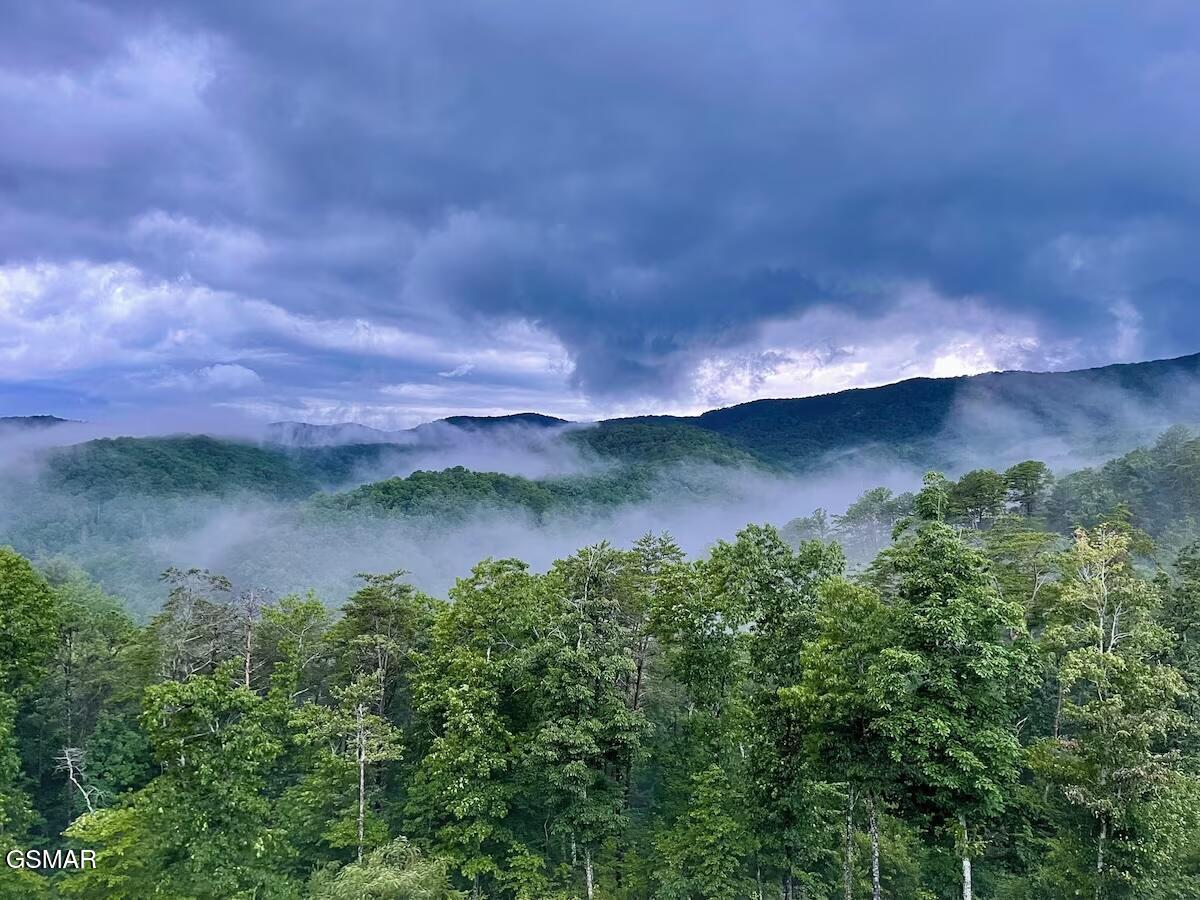 3142 Smoky Bluff Trail Sevierville TN 37862