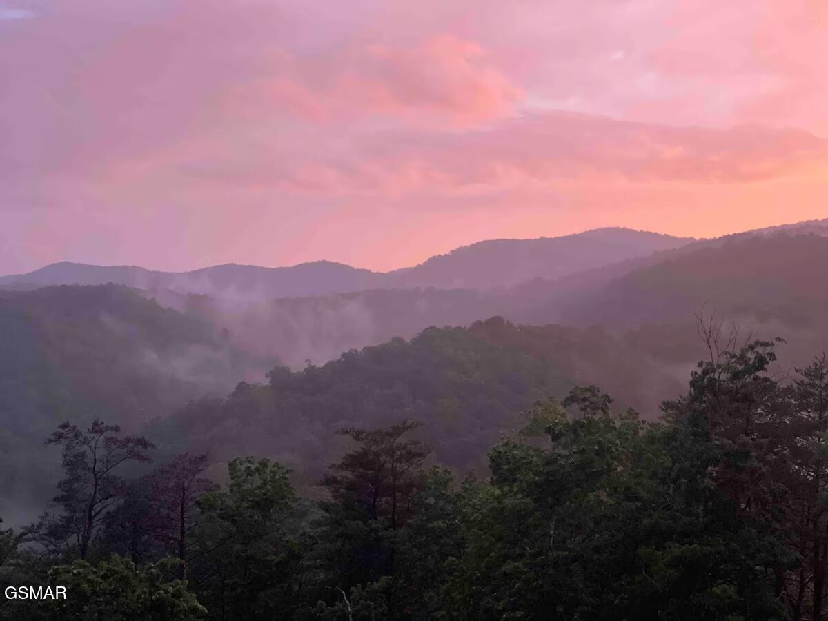 3142 Smoky Bluff Trail Sevierville TN 37862