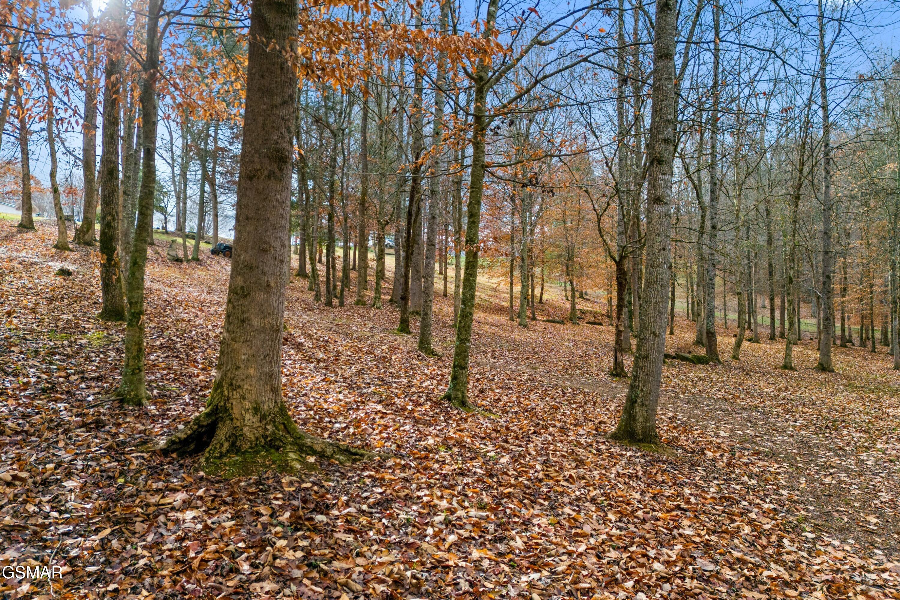 291 Weeping Cherry Way Newport TN 37821