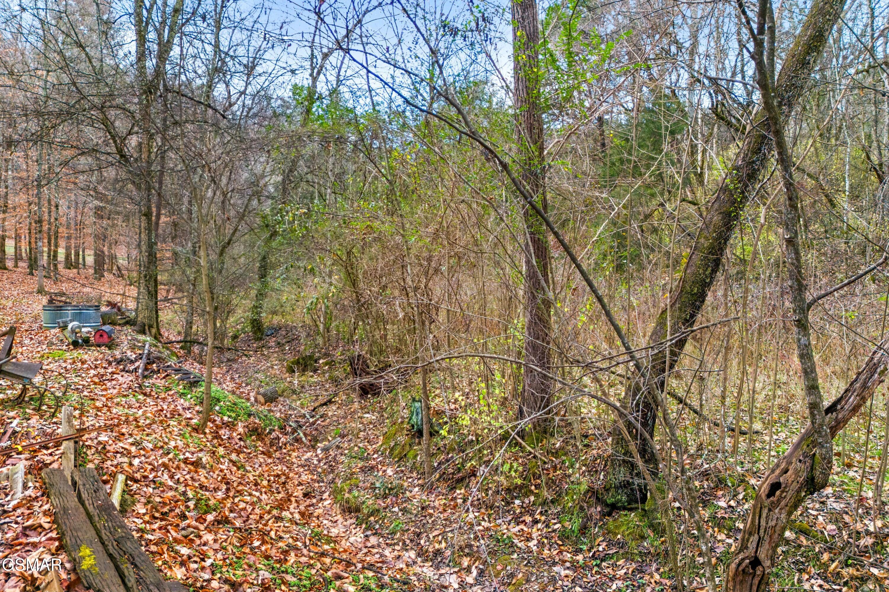 291 Weeping Cherry Way Newport TN 37821