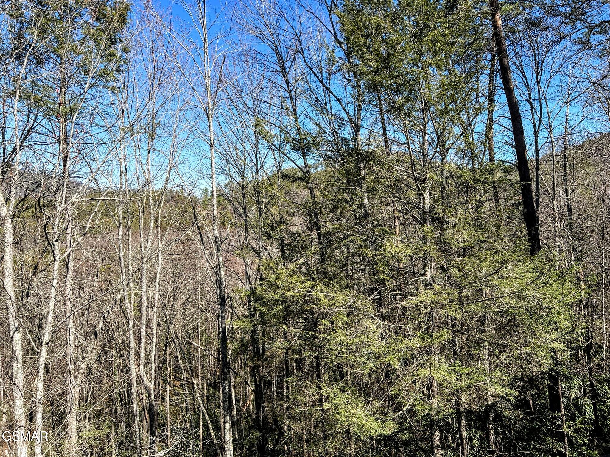 3035 Brothers Way Sevierville TN 37862