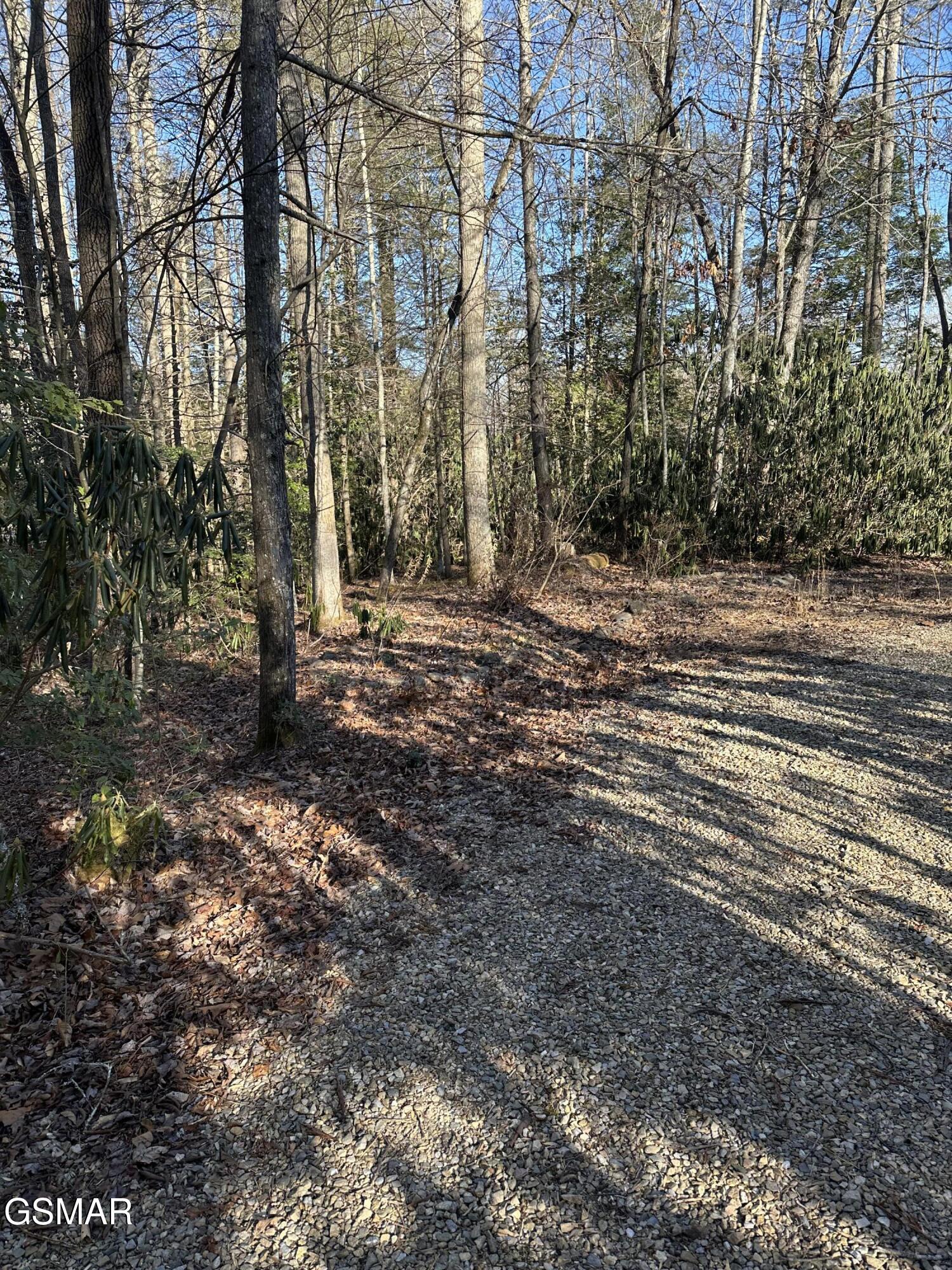 150 Cricket Hollow Way Cosby TN 37722