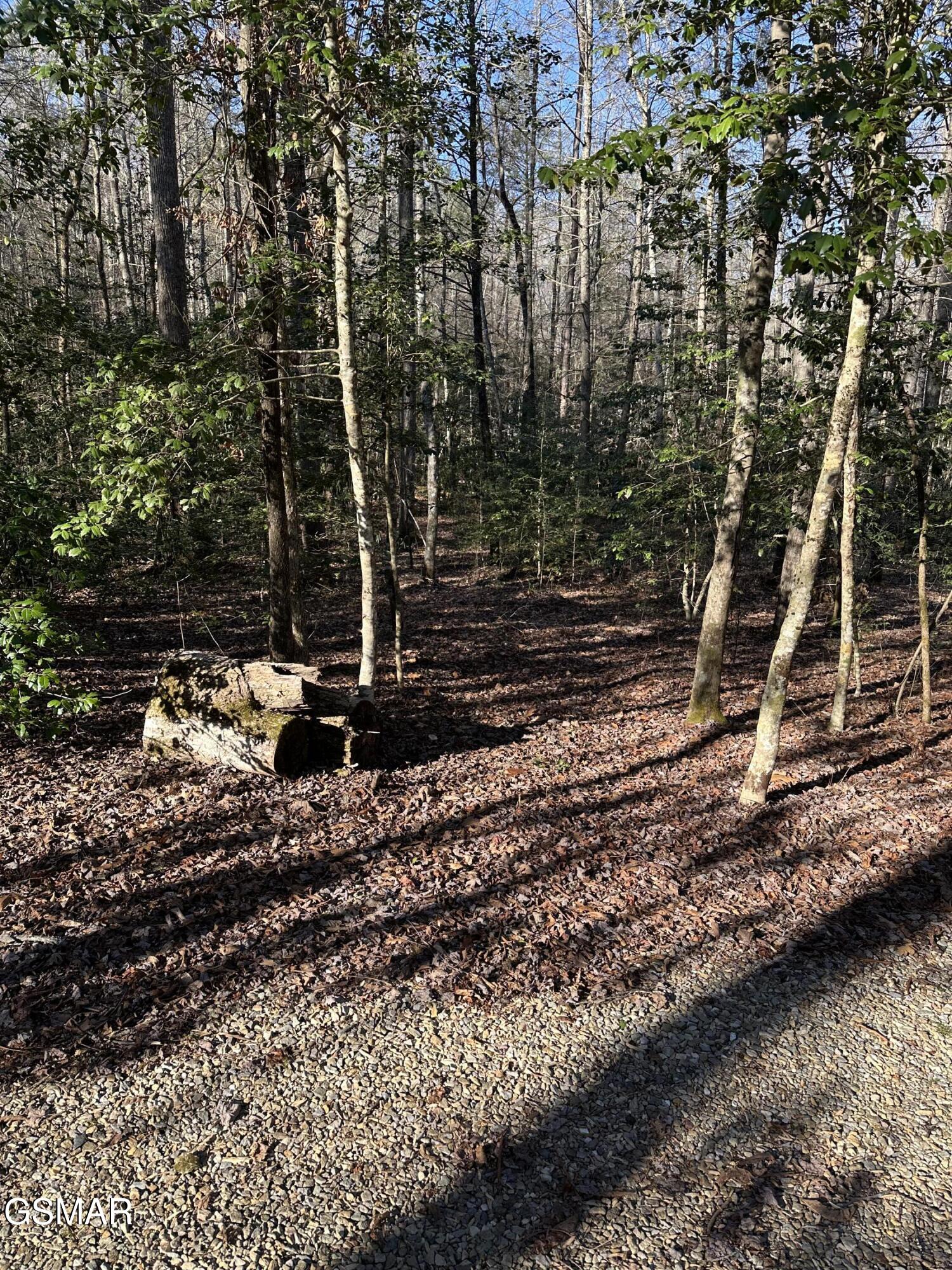 150 Cricket Hollow Way Cosby TN 37722