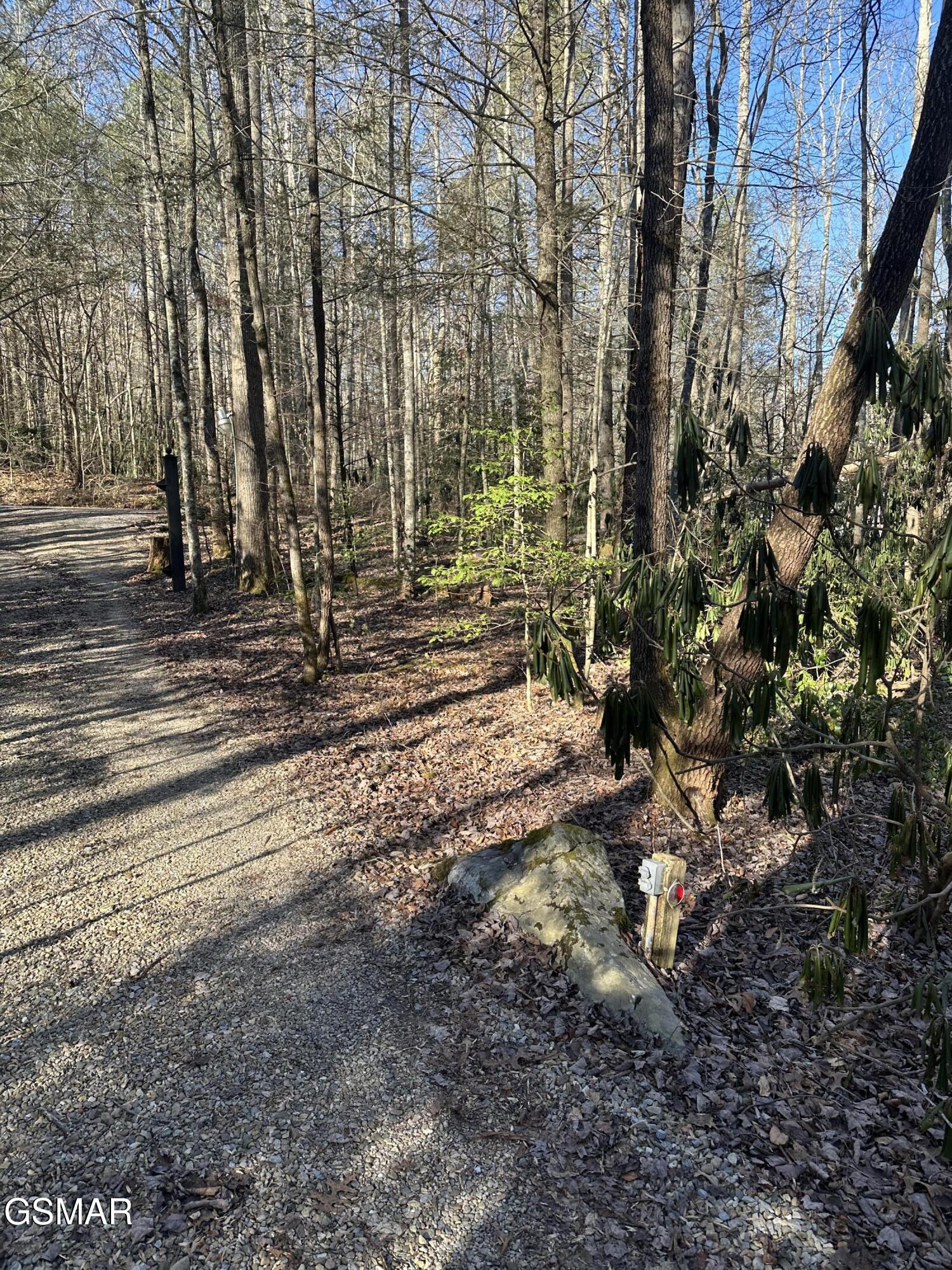 150 Cricket Hollow Way Cosby TN 37722