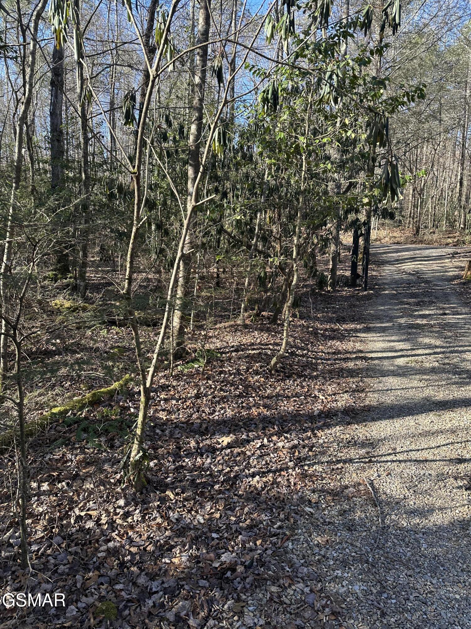 150 Cricket Hollow Way Cosby TN 37722