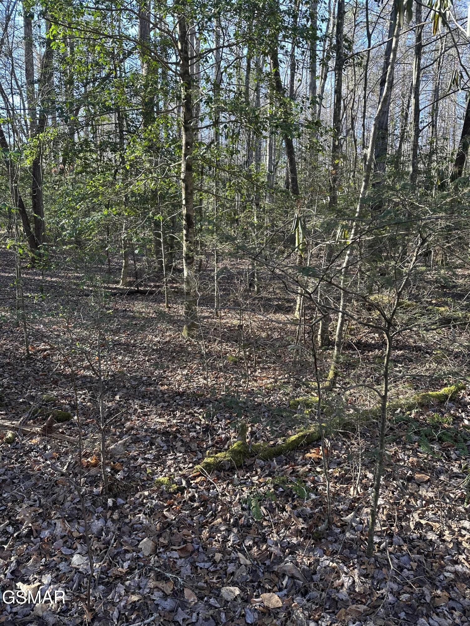 150 Cricket Hollow Way Cosby TN 37722