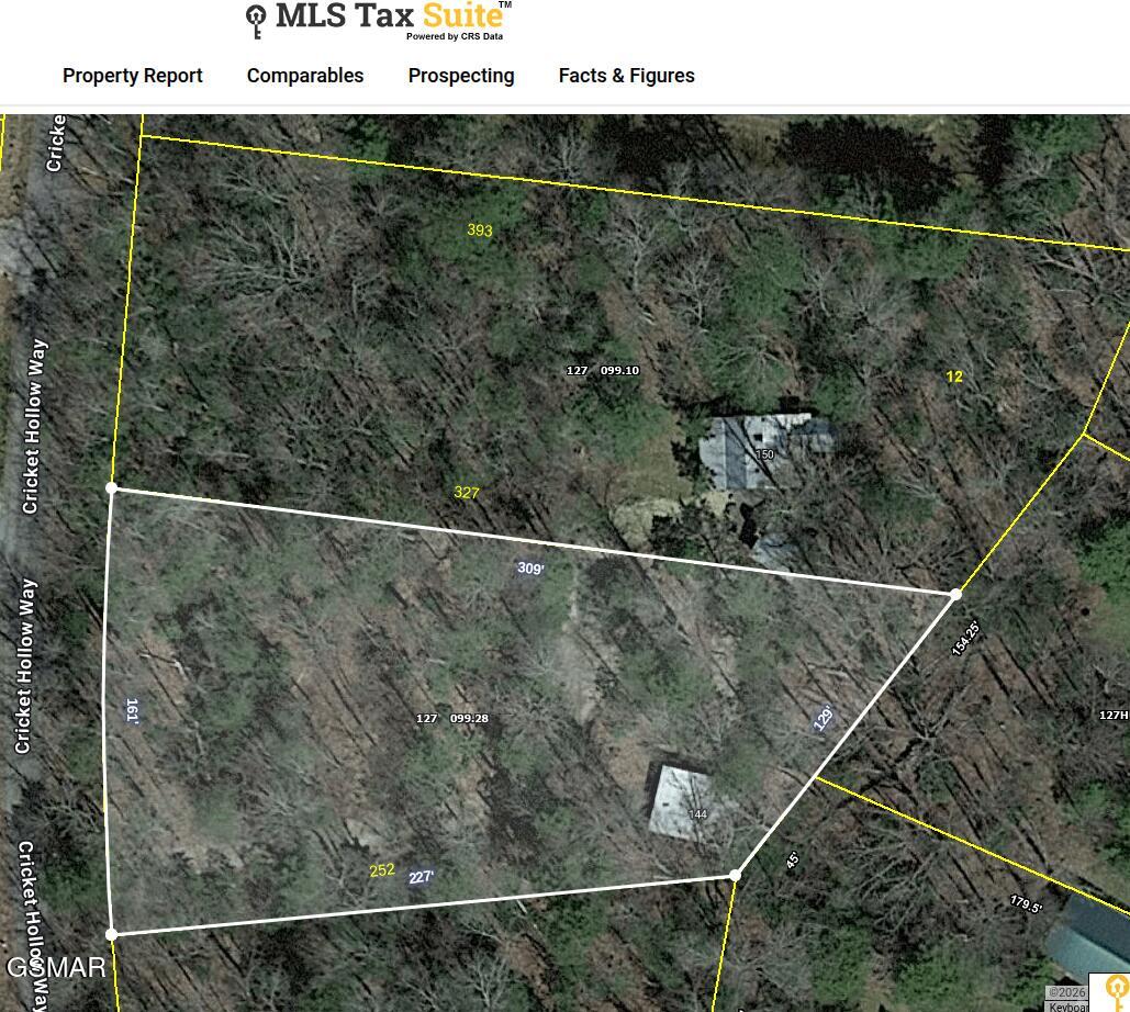 150 Cricket Hollow Way Cosby TN 37722