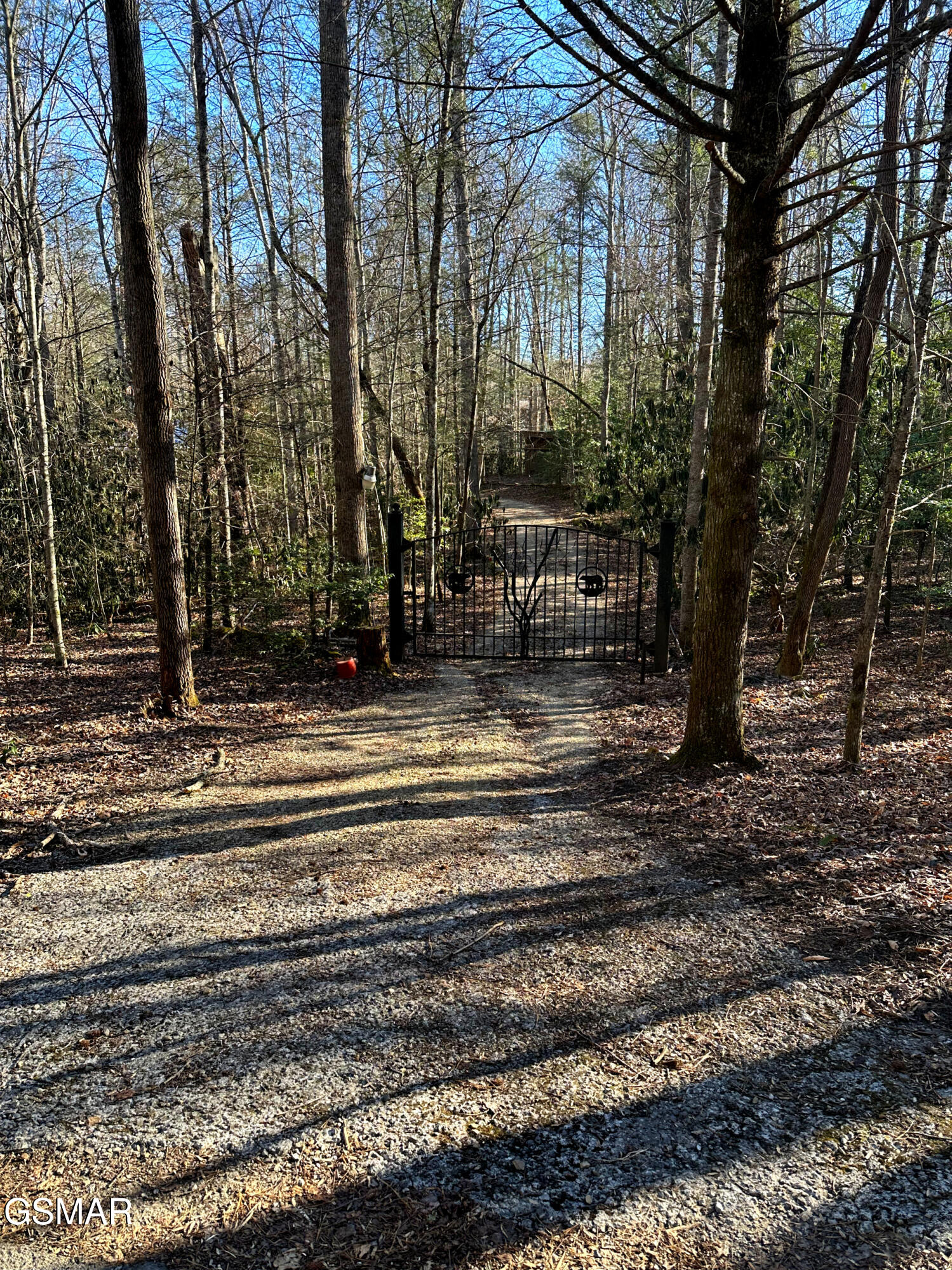 150 Cricket Hollow Way Cosby TN 37722