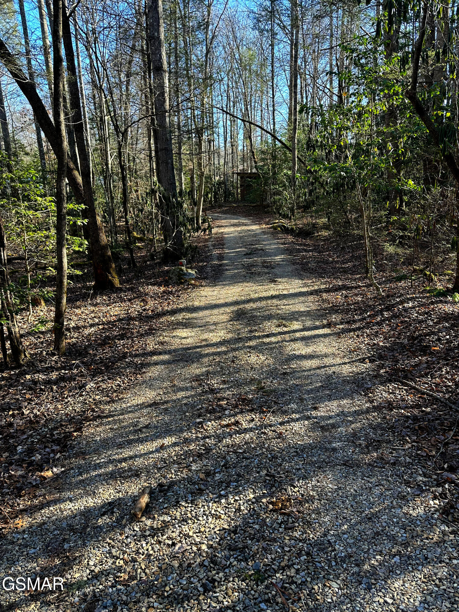 150 Cricket Hollow Way Cosby TN 37722