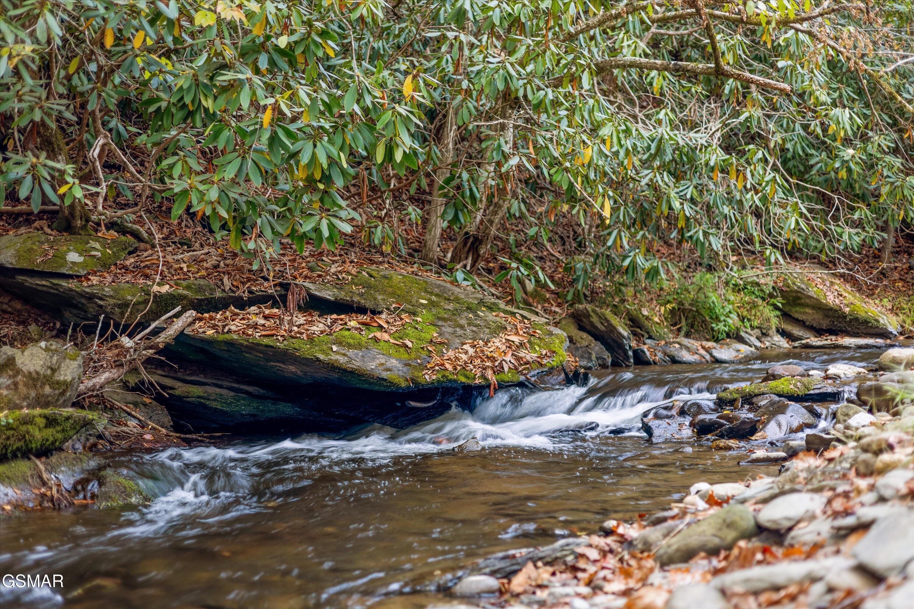 2951 Webb Creek Road Sevierville TN 37876