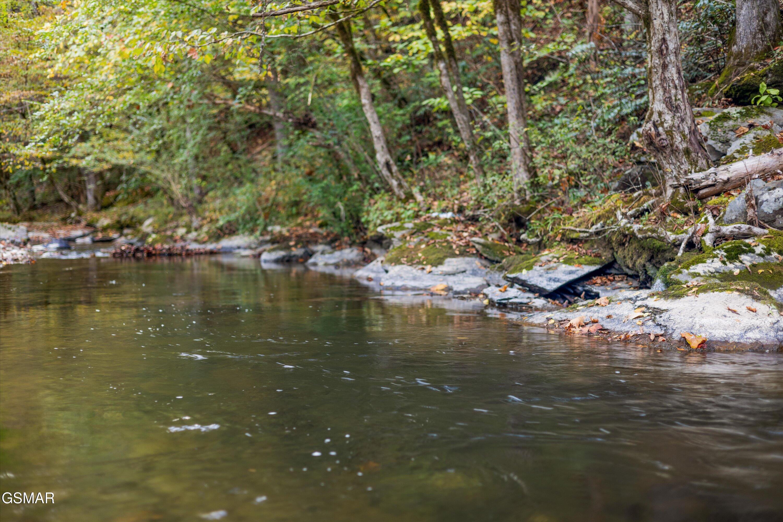 2951 Webb Creek Road Sevierville TN 37876