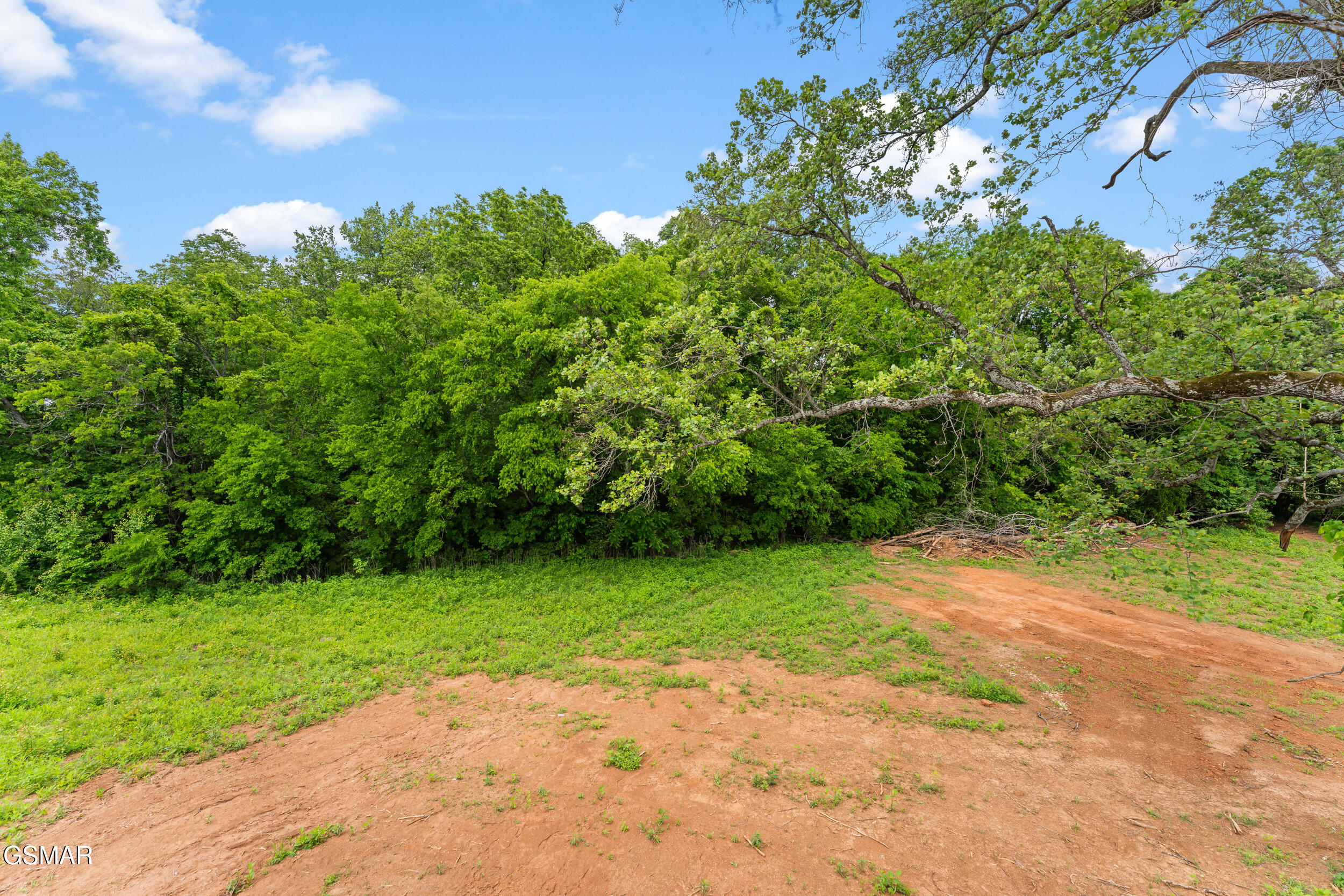 2102 Kings View Loop Seymour TN 37865