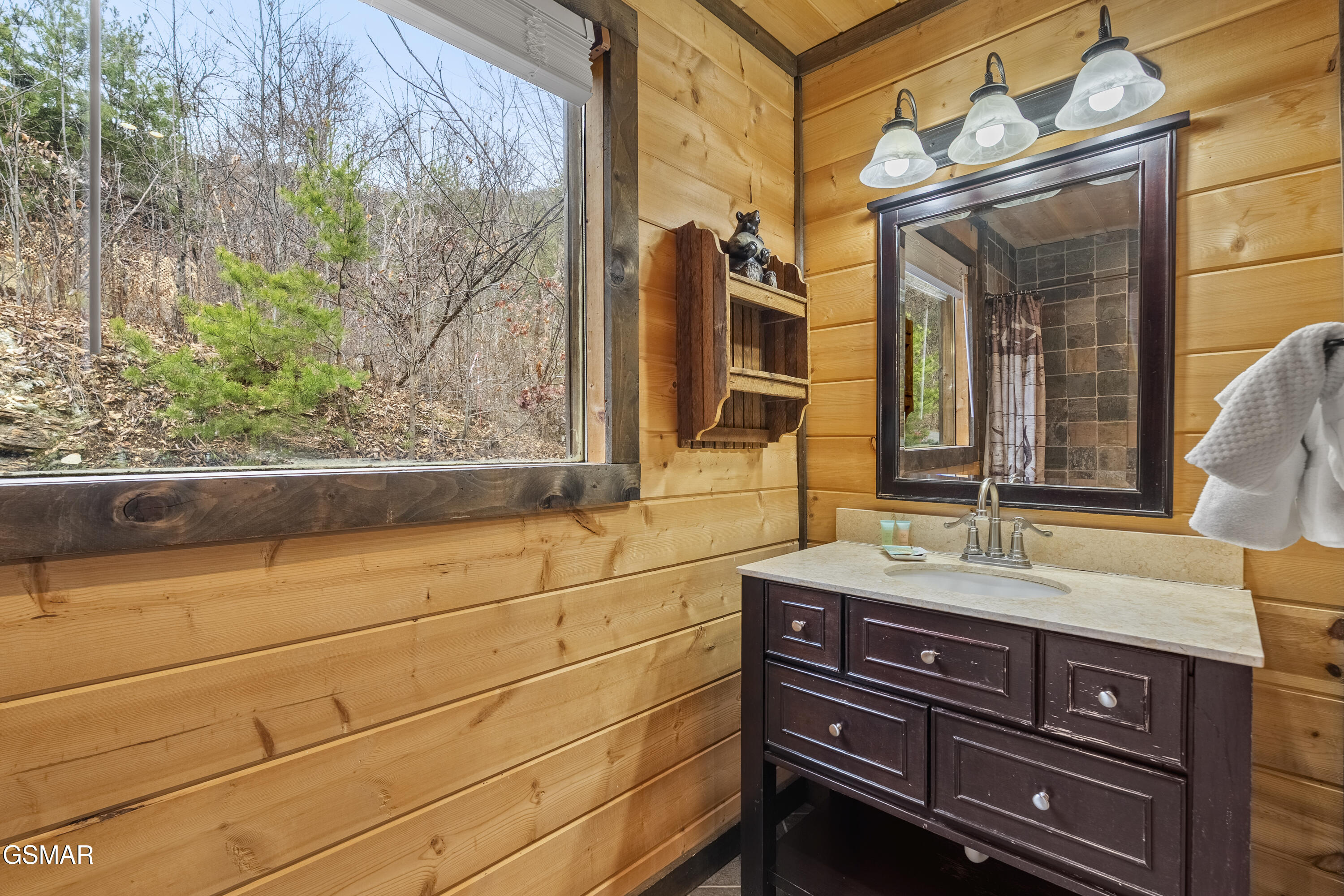 1625 Bear Claw Way Sevierville TN 37862