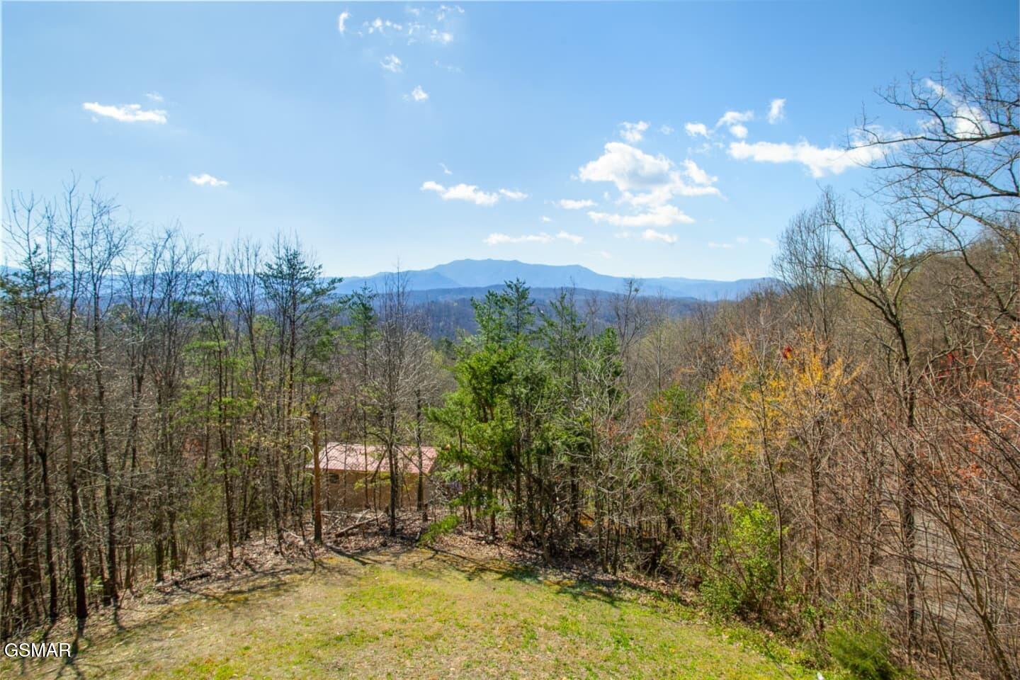 1625 Bear Claw Way Sevierville TN 37862