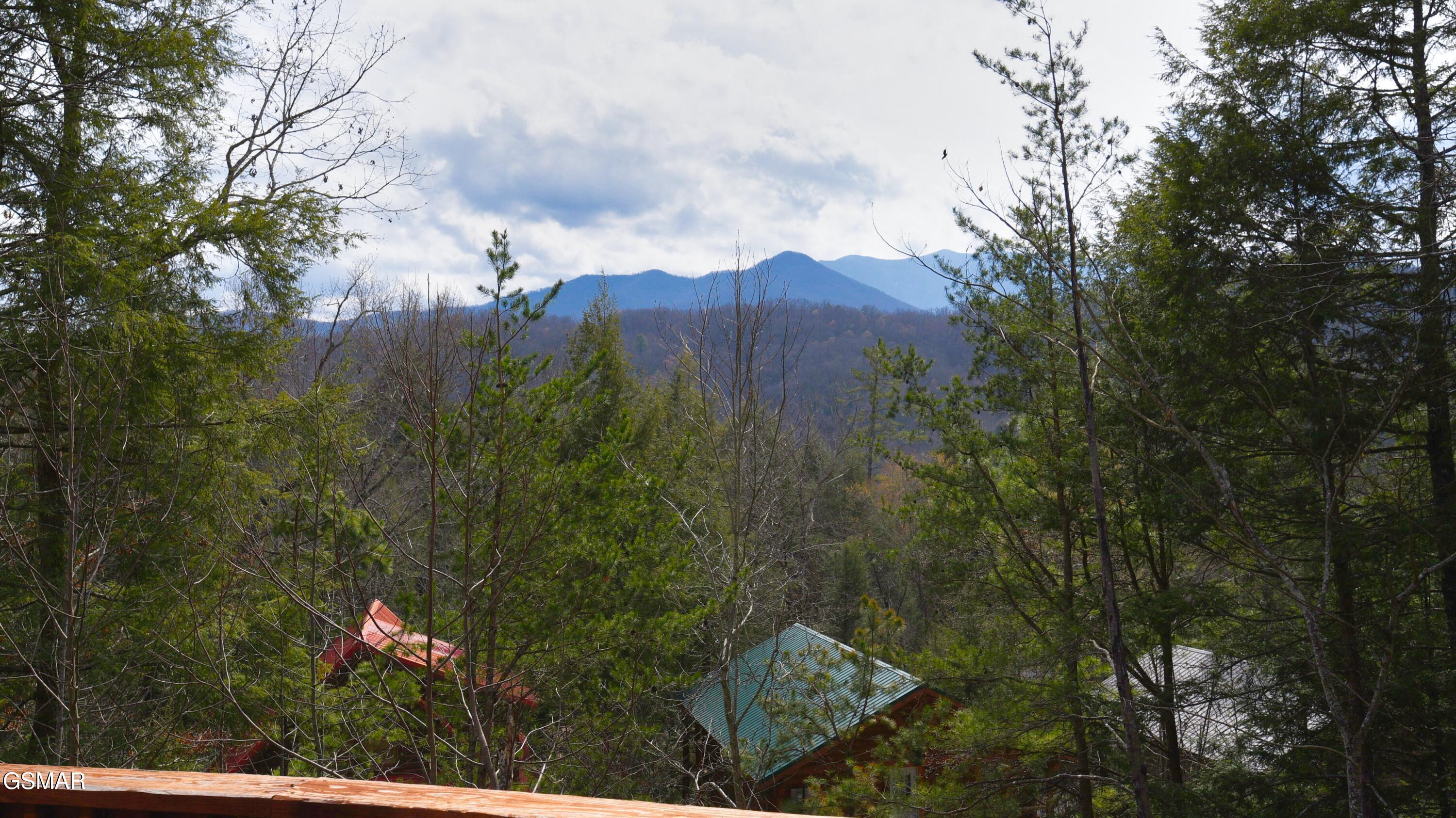 1616 Misty Hollow Way Gatlinburg TN 37738