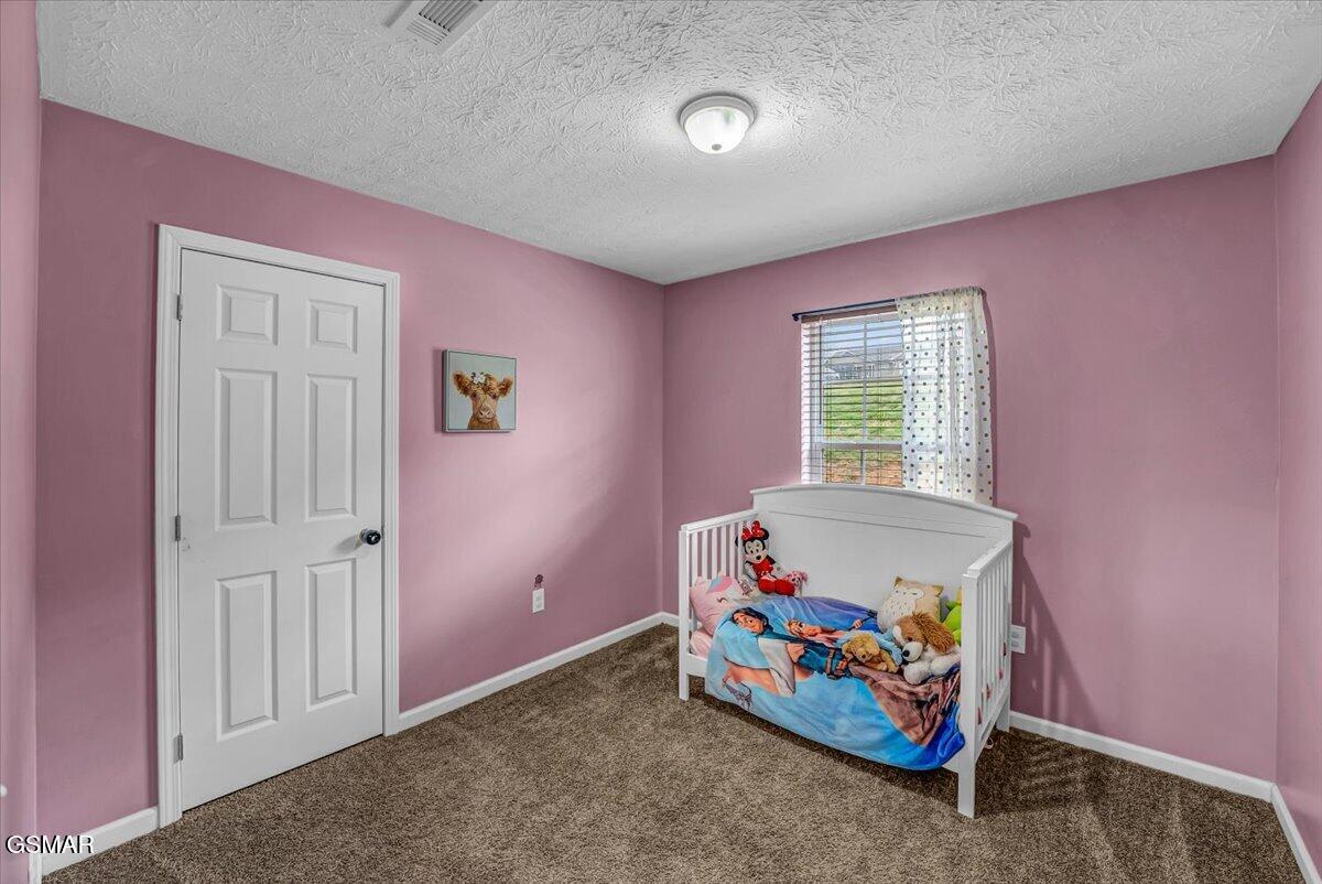 2026 Jonathan Drive White Pine TN 37890