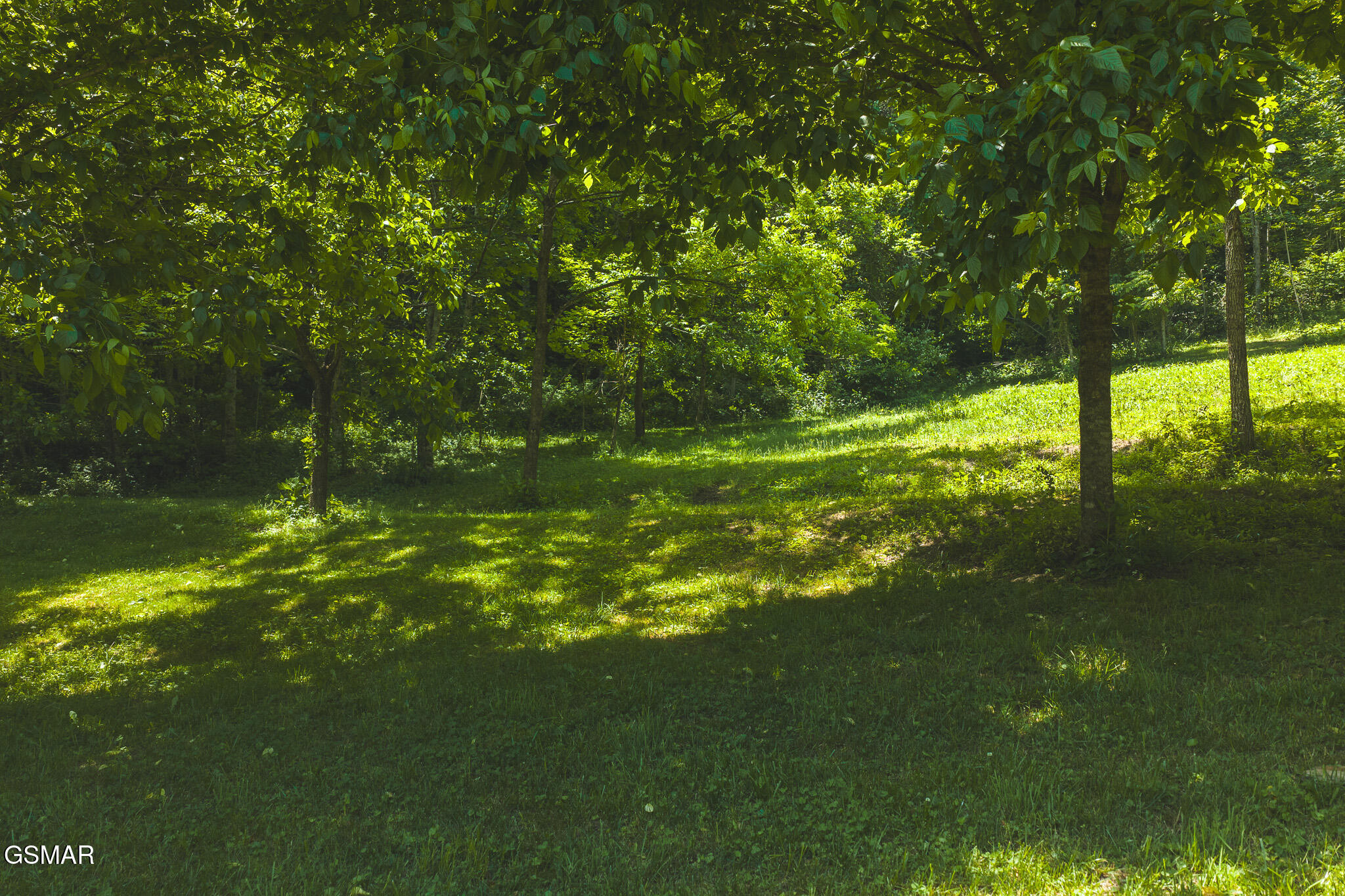 622 Earls Hollow Road Speedwell TN 37870