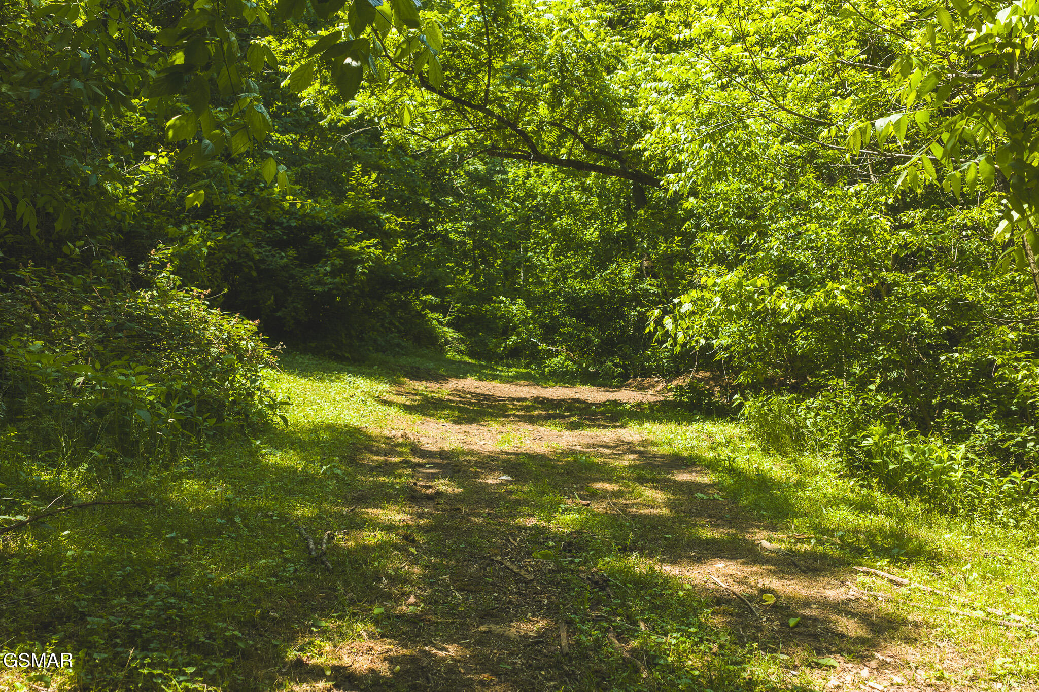 622 Earls Hollow Road Speedwell TN 37870