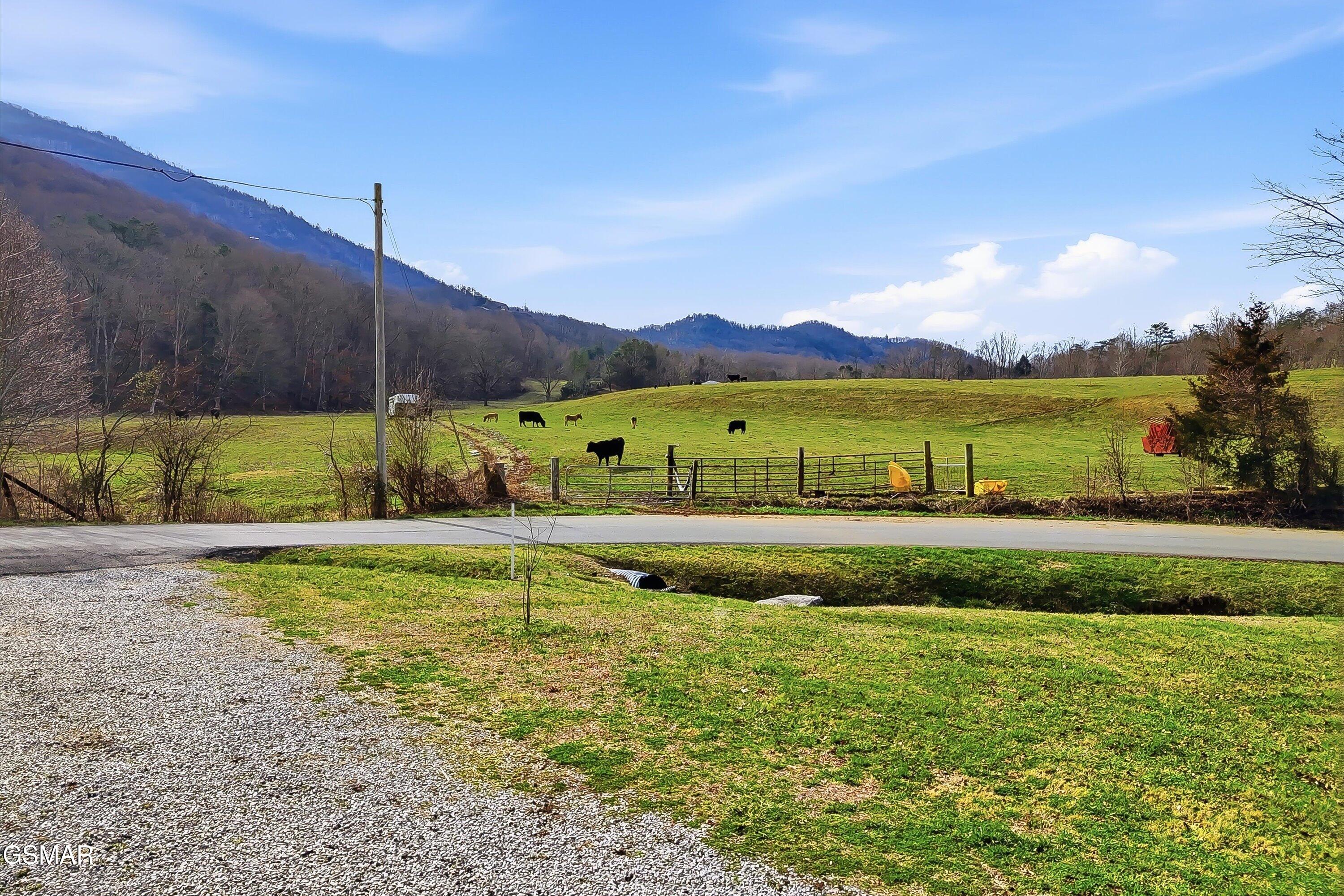 3180 Covemont Road Sevierville TN 37862
