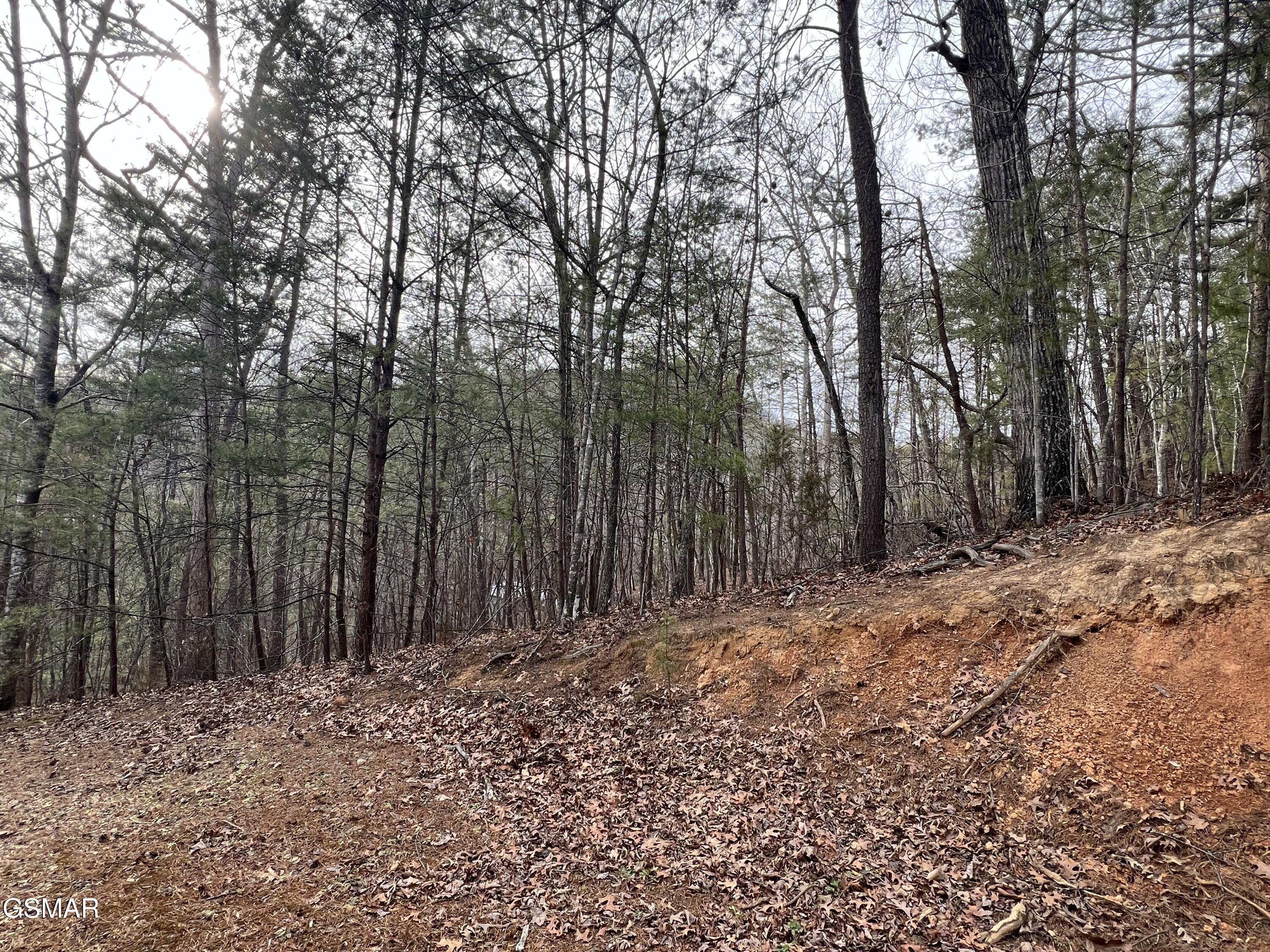 1554 Bear Valley Road Sevierville TN 37876