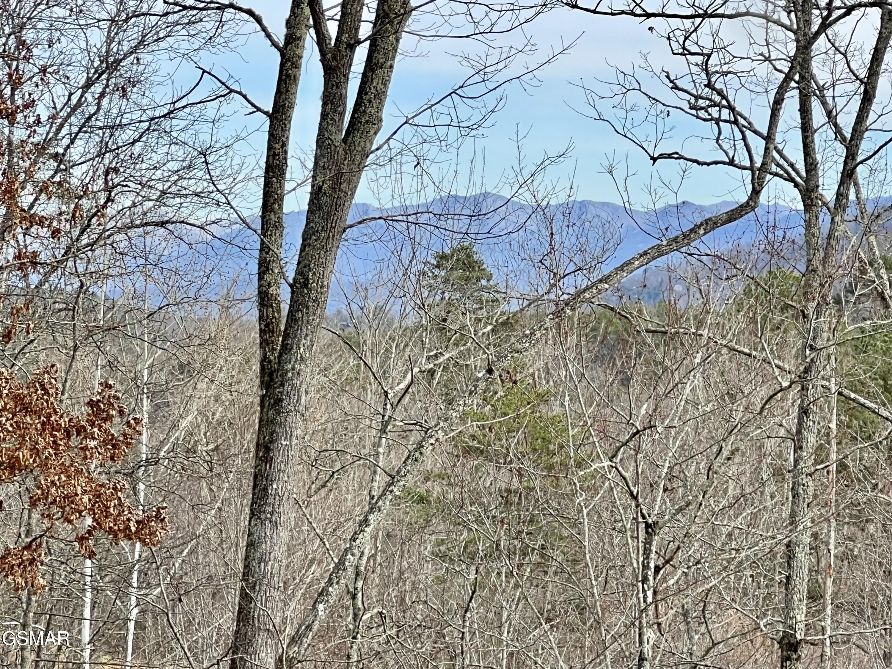 1554 Bear Valley Road Sevierville TN 37876